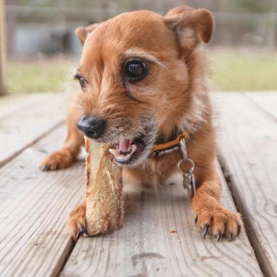 Show full view: PawLove 5-in Beef Rib Bones Dog treat, 8 count slide 6 of 6