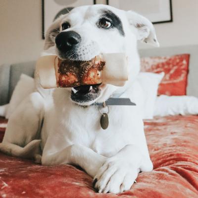 Show full view: PawLove 5-in Chicken Wrapped Beef Collagen Cheeks Dog Treat slide 7 of 7