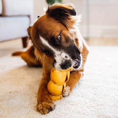 Show full view: PawLove 5-in Peanut Butter Beef Collagen Cheeks Dog Treat slide 7 of 7