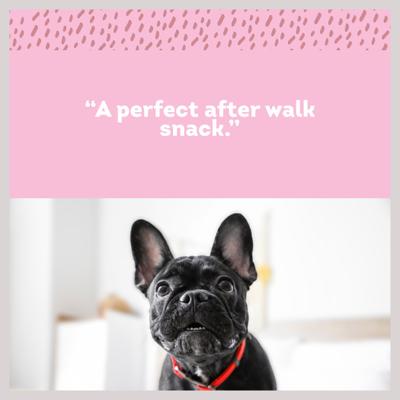 Show full view: PawLove 6-in Gullies Dog Treat, 12 count slide 5 of 8