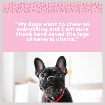 Show full view: PawLove 6-in Peanut Butter I Can't Believe It's Not Bully Sticks Dog treat, 8 count slide 4 of 6