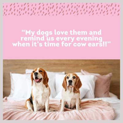 Show full view: PawLove 7-in Cow Ears Dog Treat, 2 count slide 5 of 8