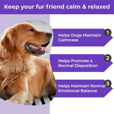 Show full view: PawMedica Calming+ Soft Chew Calming Supplement for Dogs, 120 count slide 3 of 8