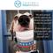 Show in main carousel: PawMedica Omega+ Fish Oil with EPA & DHA Omega 3 Dog Supplement, 90 count slide 7 of 9