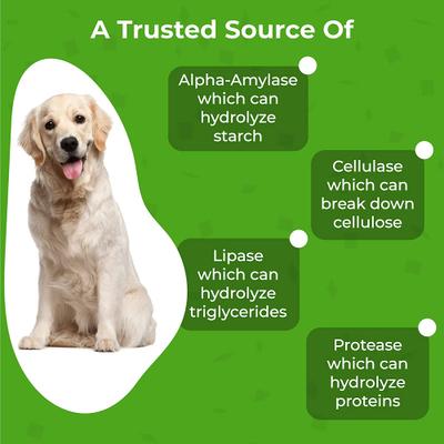 Show full view: PawMedica Probiotic+ Digestive Enzymes Probiotic Dog Chews, 60 count slide 7 of 11