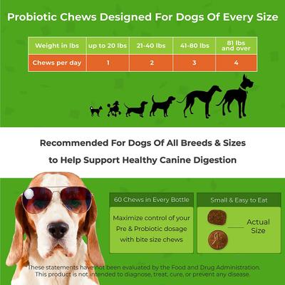 Show full view: PawMedica Probiotic+ Digestive Enzymes Probiotic Dog Chews, 60 count slide 9 of 11