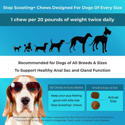 Show full view: PawMedica Stop Scooting Dog Supplements, 60 count slide 7 of 8