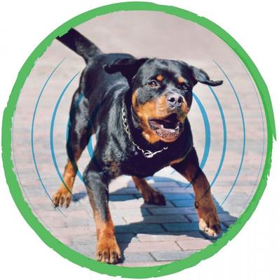 Show full view: PawPerfect Anti-Bark Dog Trainer slide 3 of 7