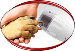 PawPerfect Replacement Rollers, 6 count slide 2 of 2