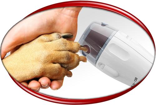 Show full view: PawPerfect Replacement Rollers, 6 count slide 2 of 2