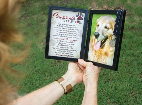 Show full view: Pawprints Left by You Dog Picture Frame, 5 x 7 slide 7 of 9