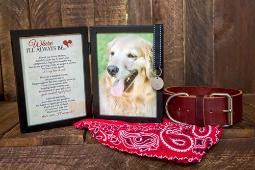 Show full view: Pawprints Left by You "Where I'll Always Be" Dog Memorial Picture Frame, 5 x 7-in slide 3 of 4
