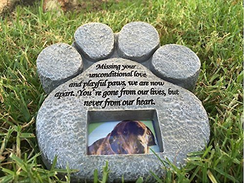 Pawprints Remembered Pet Memorial Stone with Picture Frame
