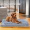 Show in main carousel: Paws & Decor Comfort Orthopedic Pillow Dog & Cat Bed with Removable Cover, Gray, Medium slide 7 of 8