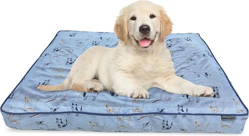 Show full view: Paws & Decor Orthopedic Dog & Cat Bed with Removable Cover, Blue, Medium slide 1 of 9