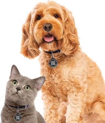 Show full view: Pawscout QR Smart Dog & Cat Tag slide 5 of 8