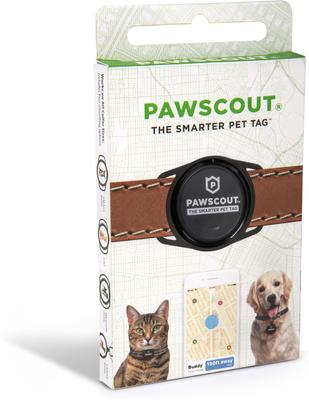 Show full view: Pawscout Version 2.5 Smarter Bluetooth Enabled Dog & Cat Tag slide 2 of 7