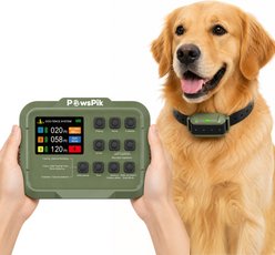 PawsPik 3-in-1 Wireless Dog Fence & Training System, Green
