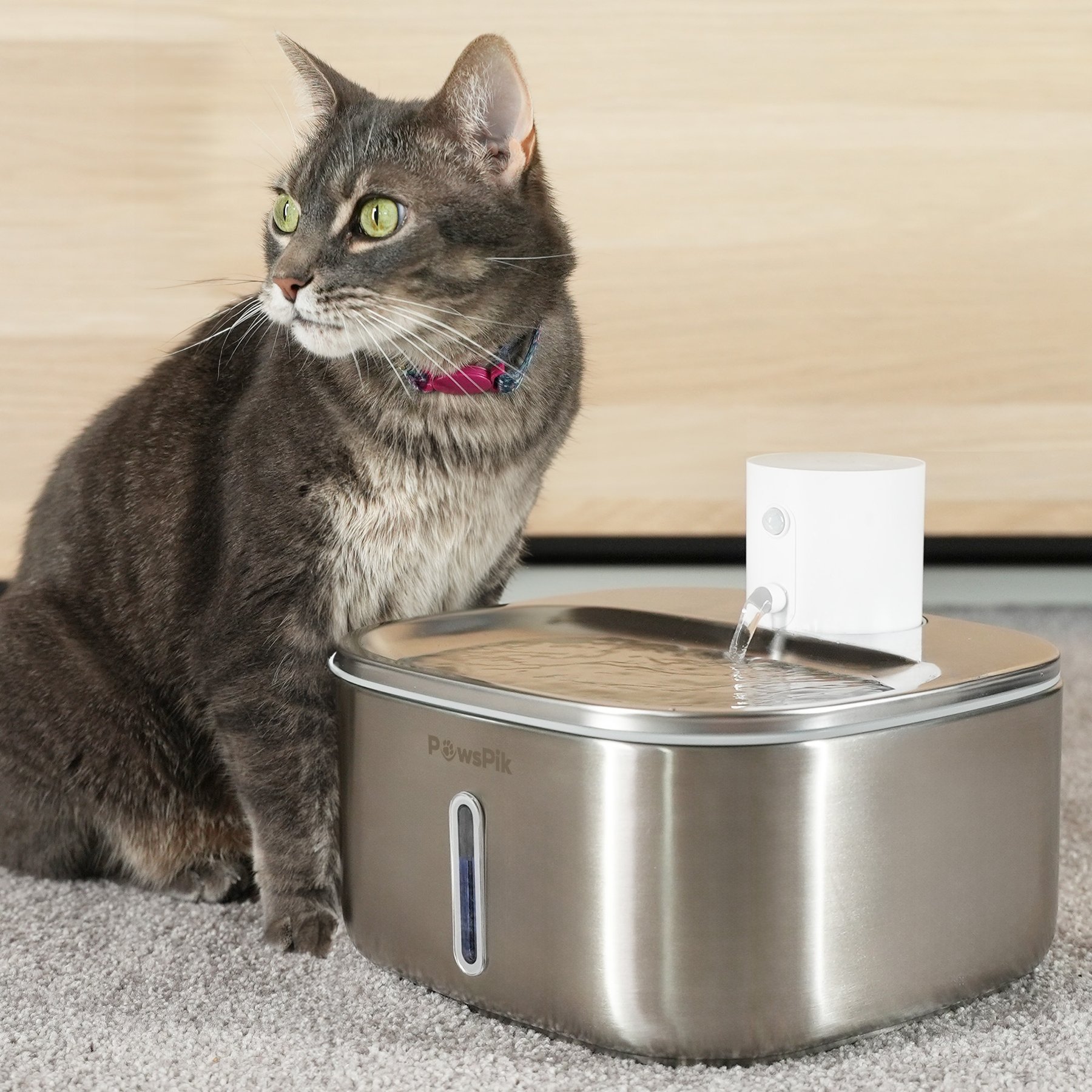 PawsPik BOSS-01 Stainless Steel Rechargeable Battery Operated Cat & Small Dog Water Fountain, 108.2-oz
