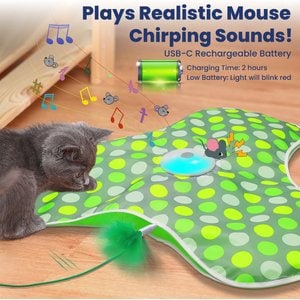 PawsPik Interactive Hide & Seek Concealed Feather Cat Toy, Green