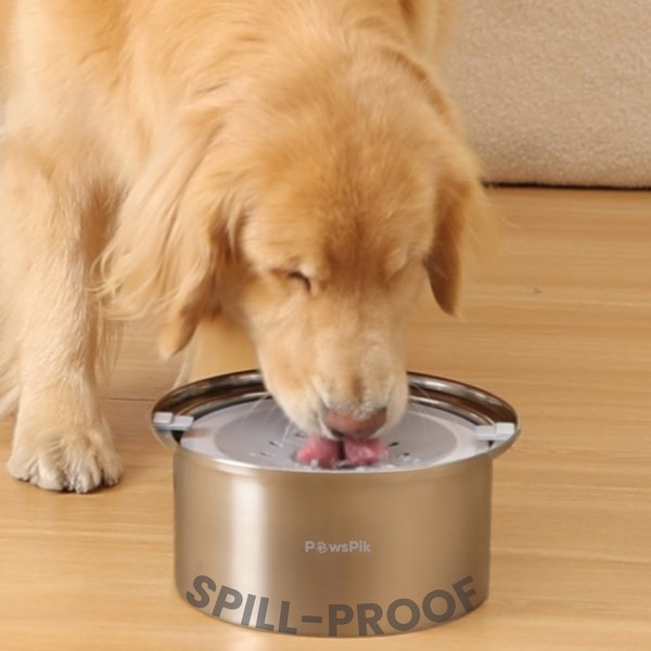 PawsPik Spill Proof Stainless Steel Dog Bowl, 4-L