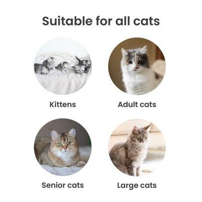 Show full view: PawsPik Stainless Steel Cat Litter Box with Steps & Metal Scooper, X-Large, 2 pack slide 7 of 9