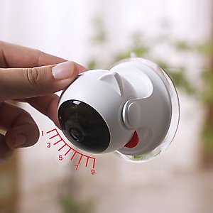 PawsPik Suction Cup Cat Laser Toy, White