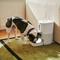 Show in main carousel: Pawsync 3.6 Liter Stainless Steel Bowl Automatic Dog & Cat Smart Feeder, White, Medium slide 8 of 10