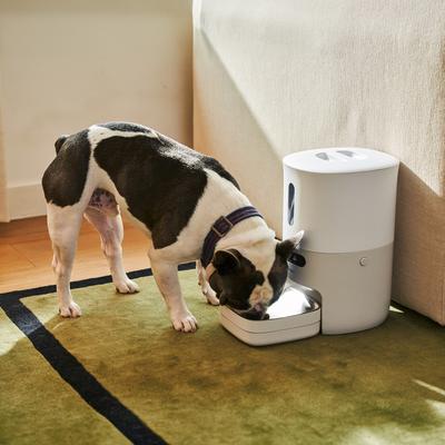 Show full view: Pawsync 3.6 Liter Stainless Steel Bowl Automatic Dog & Cat Smart Feeder, White, Medium slide 8 of 10