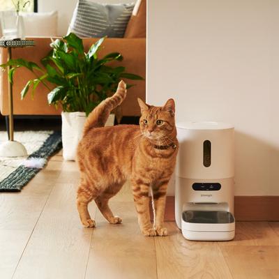 Show full view: Pawsync 3.6 Liter Stainless Steel Bowl Automatic Dog & Cat Smart Feeder, White, Medium slide 2 of 10