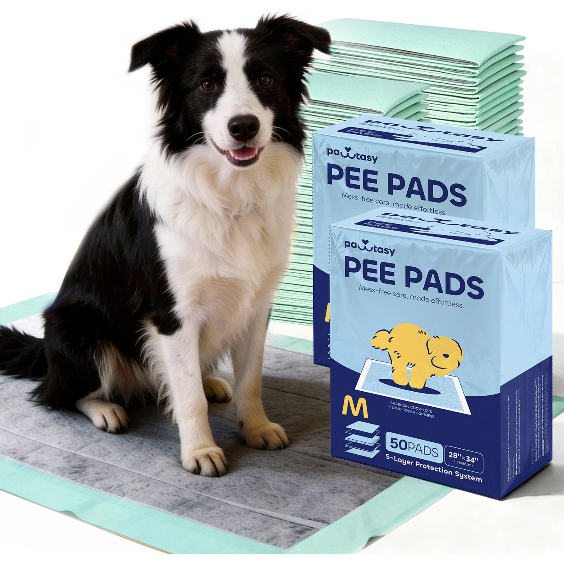 Pawtasy Odor-Eliminating Activated Carbon Unscented Dog Training Pads, 28 x 34-in, 100 count