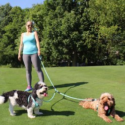 Pawtitas 2 Dog Reflective Rope Dog Leash, Green, Large slide 2 of 7