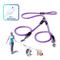 Show in main carousel: Pawtitas 2 Dog Reflective Rope Dog Leash, Purple, Large slide 1 of 8