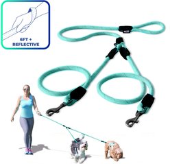 Pawtitas 2 Dog Reflective Rope Dog Leash, Teal, Large