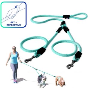 Pawtitas 2 Dog Reflective Rope Dog Leash, Teal, Large