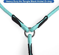 Pawtitas 2 Dog Reflective Rope Dog Leash, Teal, Large slide 2 of 7