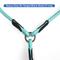 Show in main carousel: Pawtitas 2 Dog Reflective Rope Dog Leash, Teal, Large slide 4 of 8