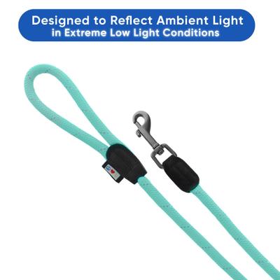 Show full view: Pawtitas 2 Dog Reflective Rope Dog Leash, Teal, Large slide 3 of 8