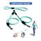 Show in main carousel: Pawtitas 2 Dog Reflective Rope Dog Leash, Teal, Large slide 5 of 8