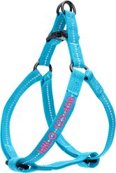 Pawtitas Custom Personalized Recycled Basic Dog Harness, Teal, Large: 24 to 33-in chest