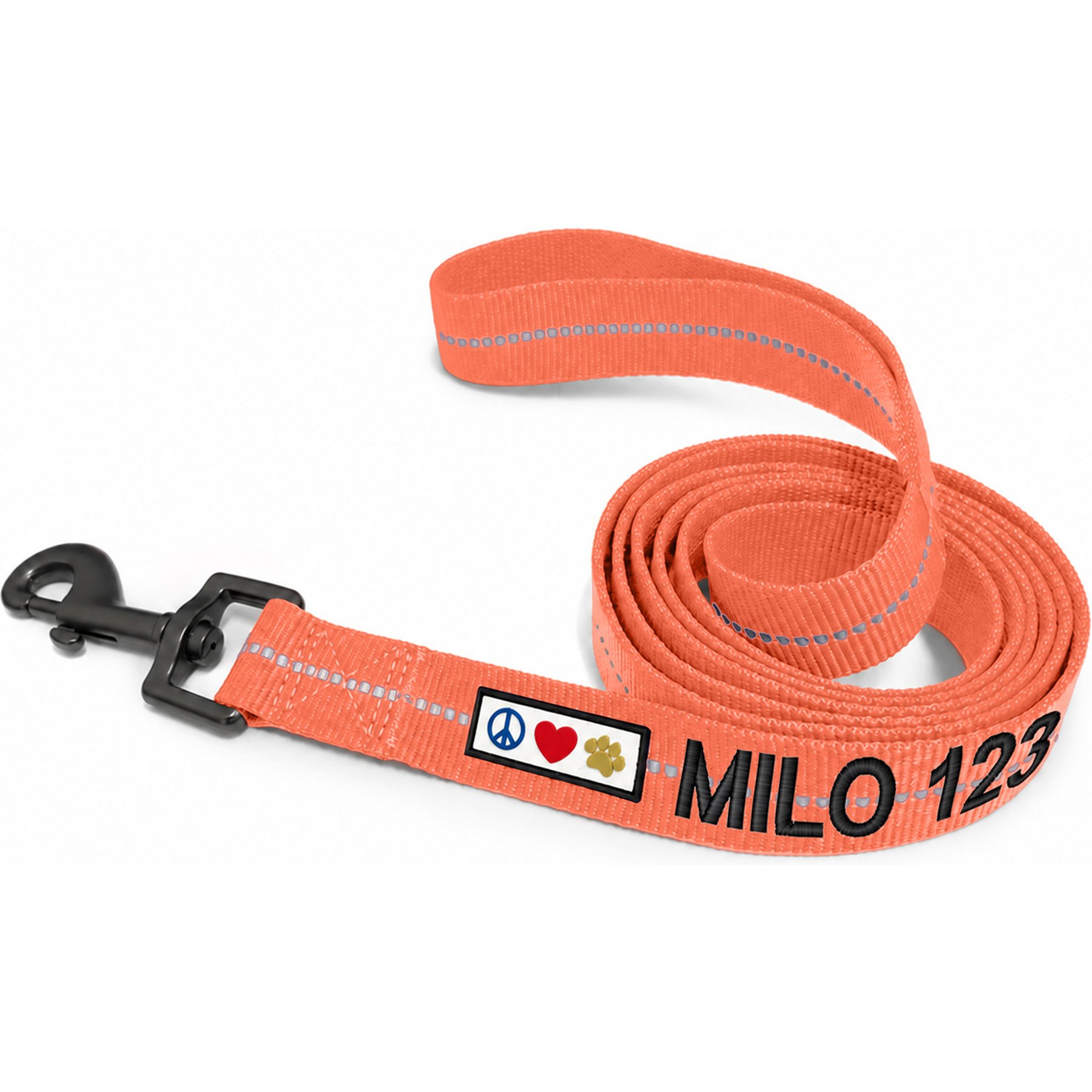 Pawtitas Custom Personalized Recycled Reflective Eco-Friendly Standard Dog Leash, Coral, Medium/Large: 6-ft long, 1-in wide