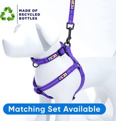 Pawtitas Custom Personalized Recycled Reflective Eco-Friendly Standard Dog Leash, Purple, X-Small/Small: 6-ft long, 5/8-in wide slide 2 of 9