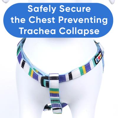 Show full view: Pawtitas Dog Harness, Blue / Teal / Yellow, X-Small slide 6 of 8