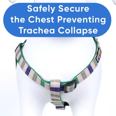 Show full view: Pawtitas Dog Harness, Grey / Blue / Green, X-Small slide 6 of 8