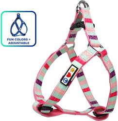 Pawtitas Dog Harness, Teal / Pink /Purple, Small