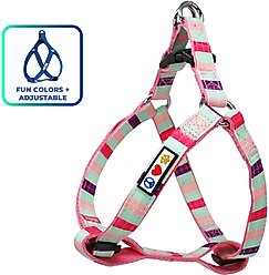 Pawtitas Dog Harness, Teal / Pink /Purple, X-Small