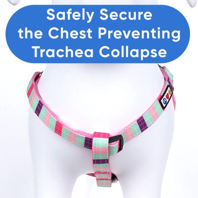 Show full view: Pawtitas Dog Harness, Teal / Pink /Purple, X-Small slide 6 of 8