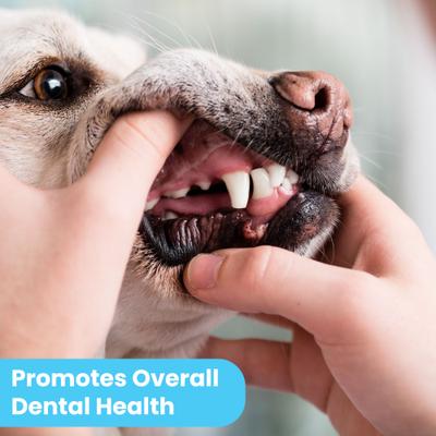 Show full view: Pawtitas Fresh Mint Flavor Dog Dental Water Additive, 2-fl oz bottle slide 9 of 11