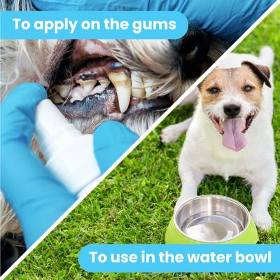 Show full view: Pawtitas Fresh Mint Flavor Dog Dental Water Additive, 2-fl oz bottle slide 3 of 11