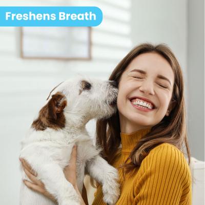 Show full view: Pawtitas Fresh Mint Flavor Dog Dental Water Additive, 8-fl oz bottle slide 7 of 11